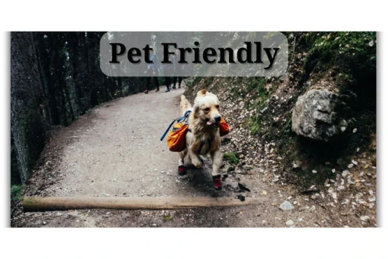 turismo pet friendly