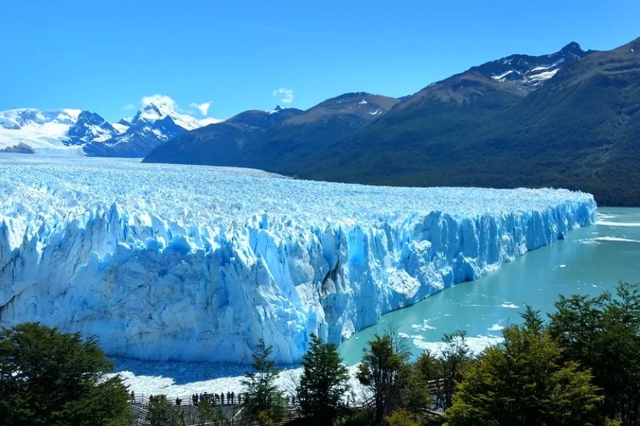 Calafate