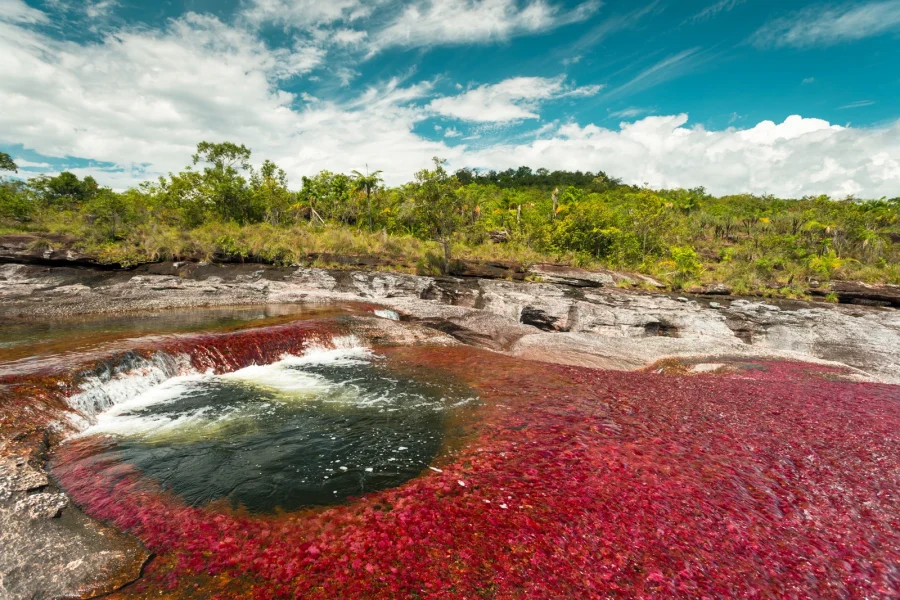 Caño Cristales