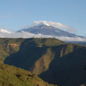 Huila