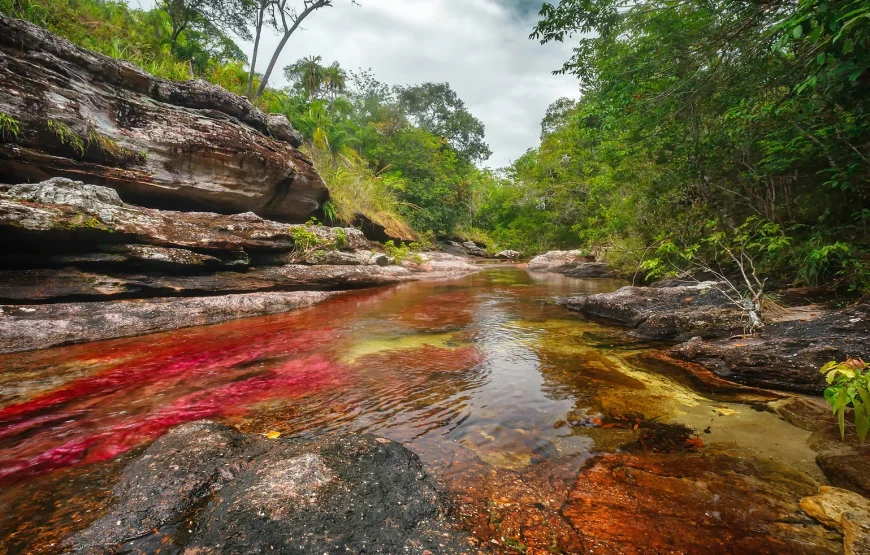 Tour a Caño Cristales 5 días