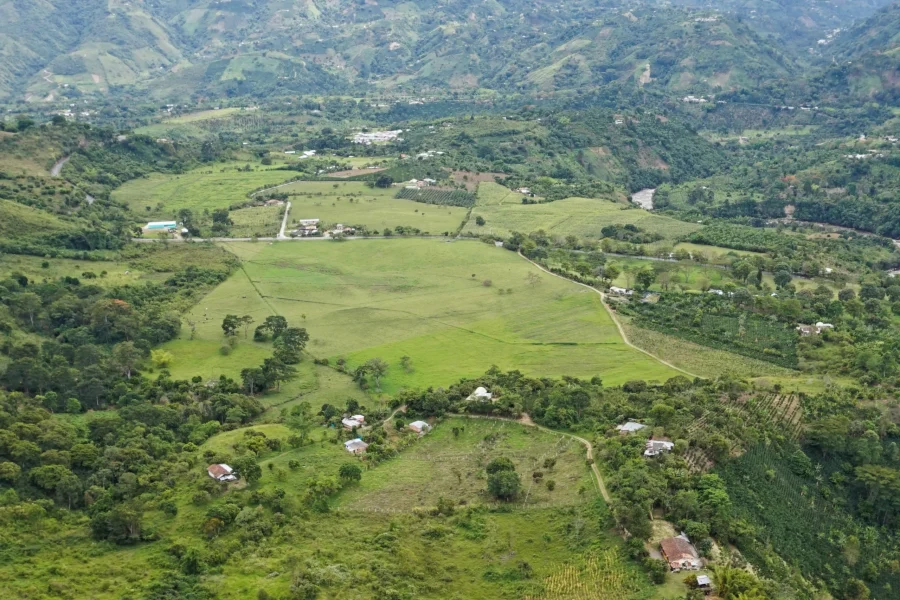 Huila