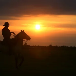 Llanos orientales