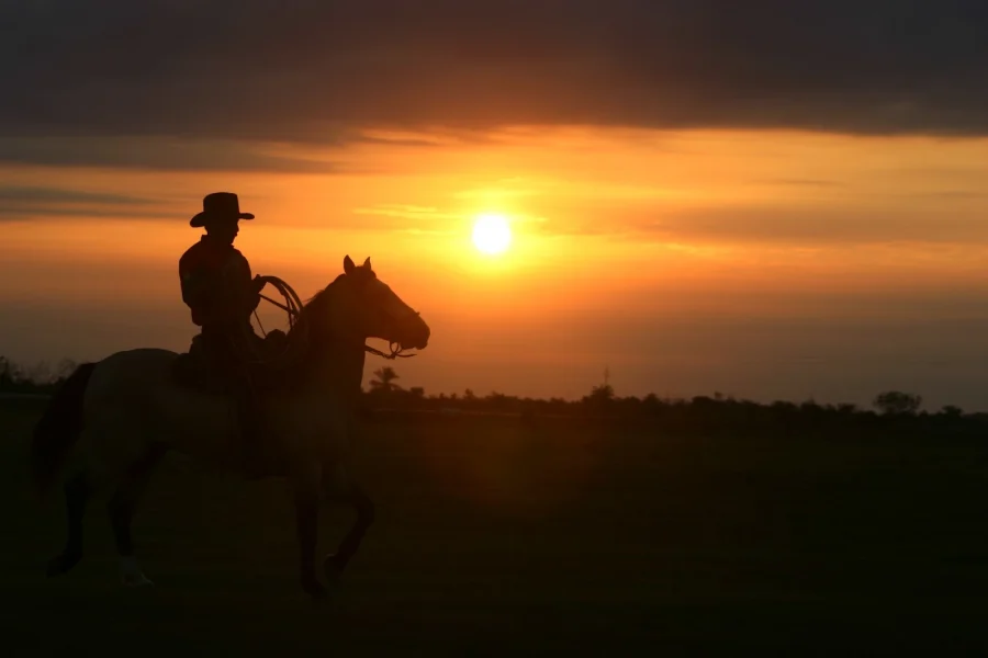 Llanos orientales