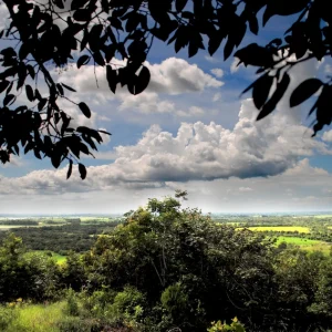 Llanos Orientales