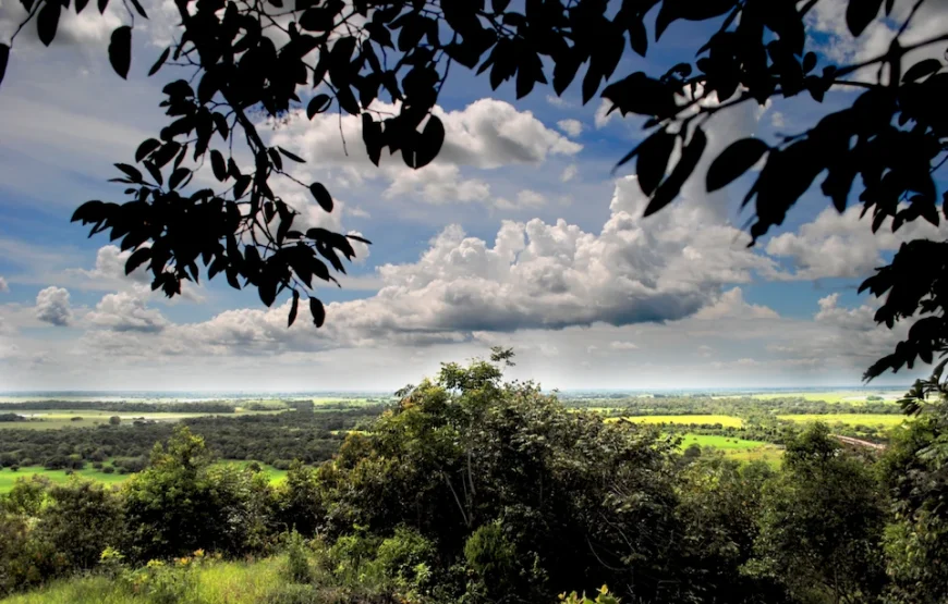 Tour Llanos Orientales terrestre