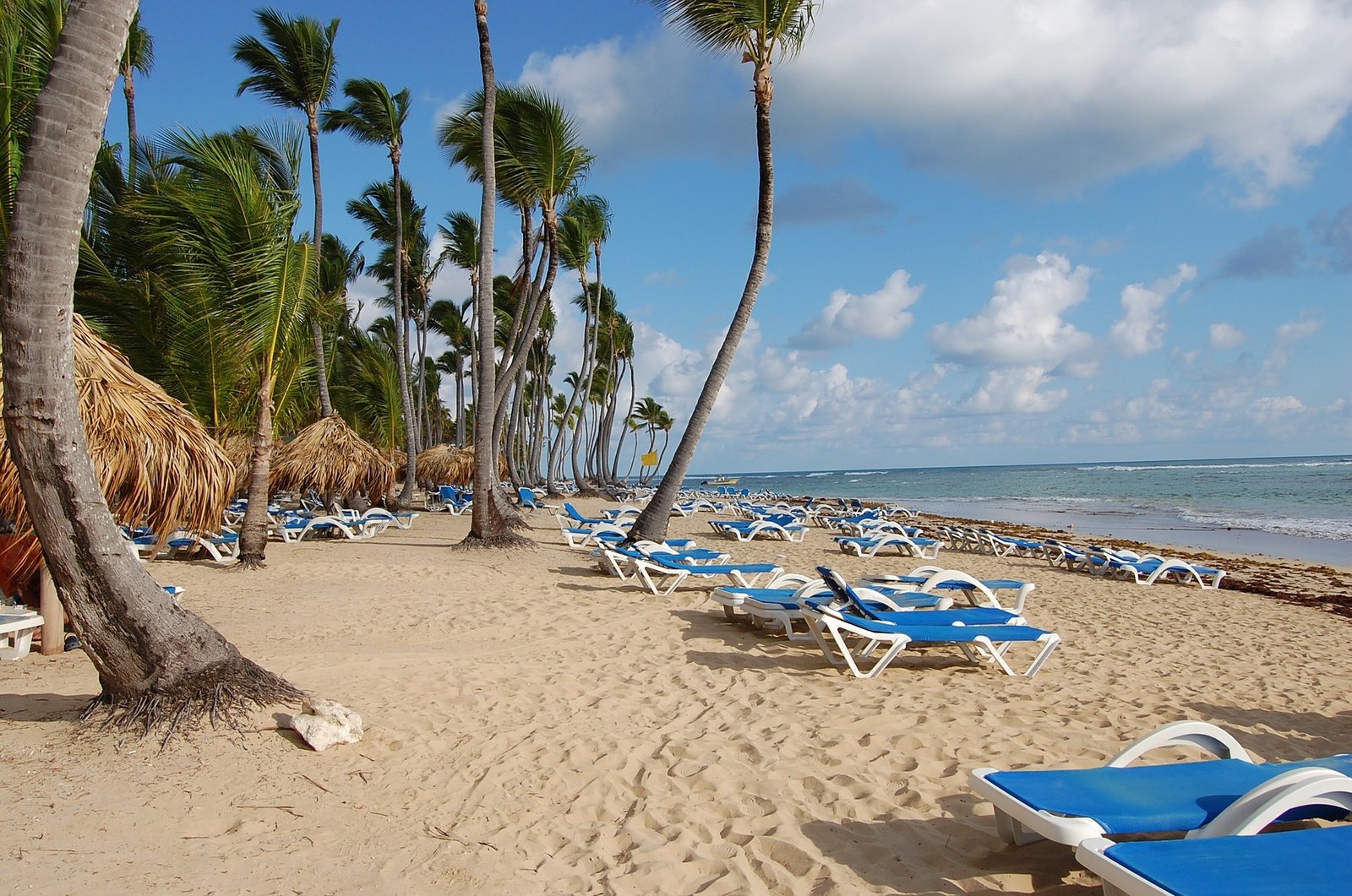 Playa Punta cana