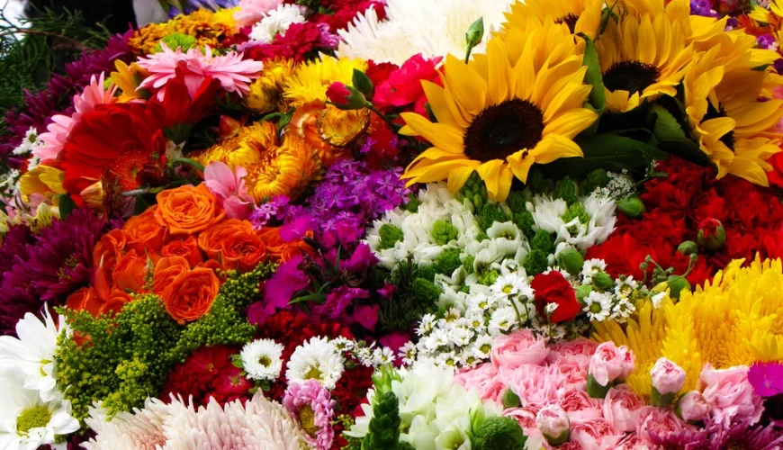 Feria de Las Flores: Medellin se viste de Fiesta