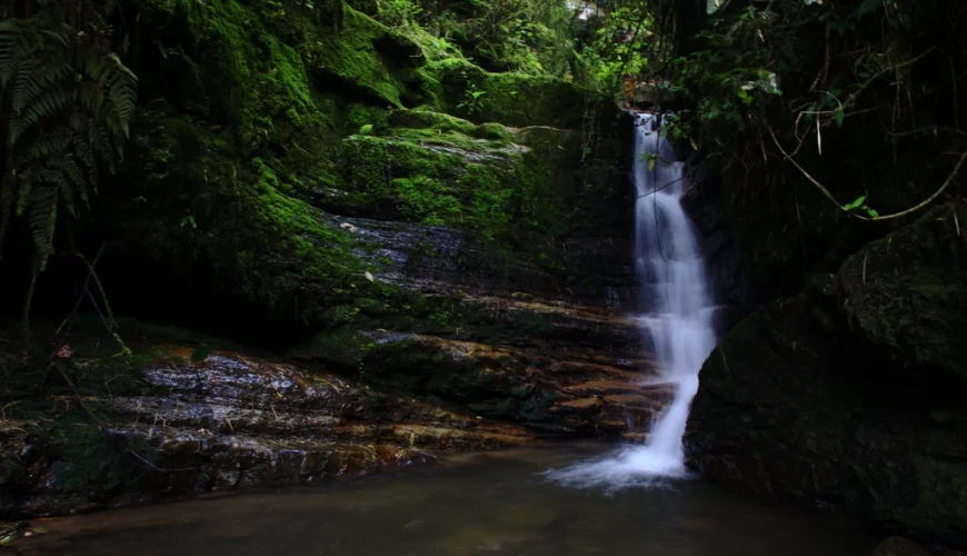 Planes de Naturaleza y Aventura en Colombia