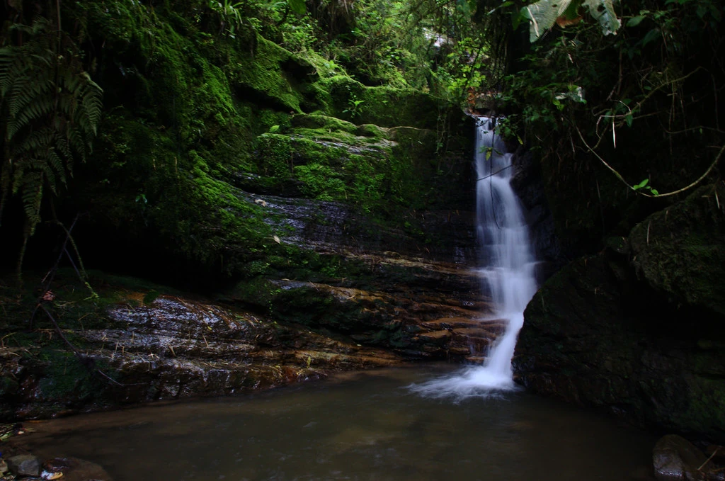 Planes de Naturaleza y Aventura en Colombia