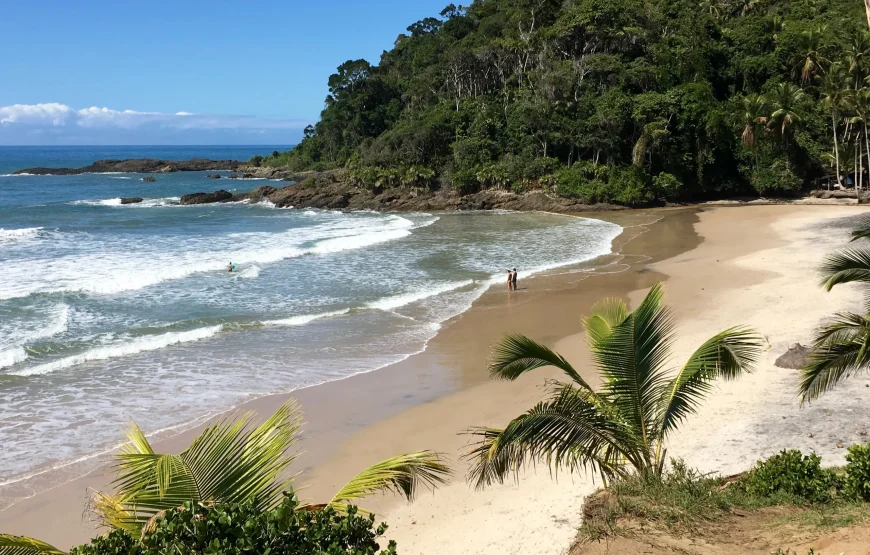 Tour a Bahía Solano – Plan Tortugas