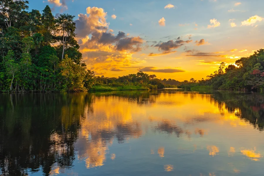 Amazonas 4 días