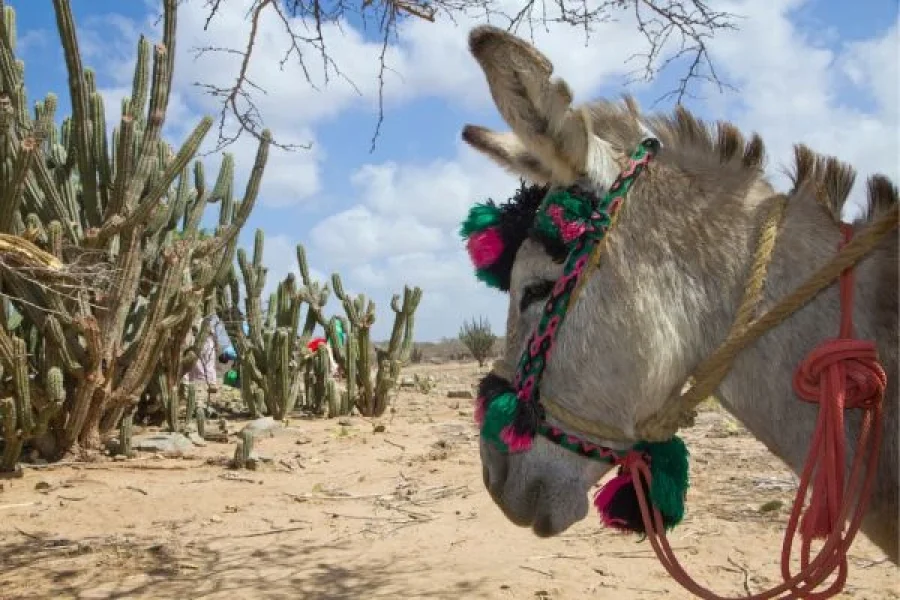 Tour Guajira aéreo