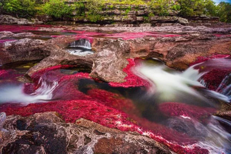 Tour a Caño Cristales 3 noches