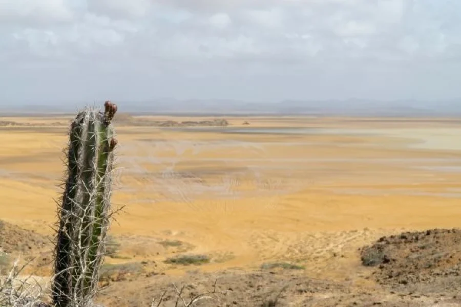 Guajira colombia